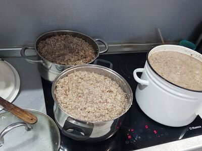 Каша для бездомных собак