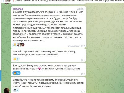 Слова благодарности от сотрудников приюта "Верное сердце"