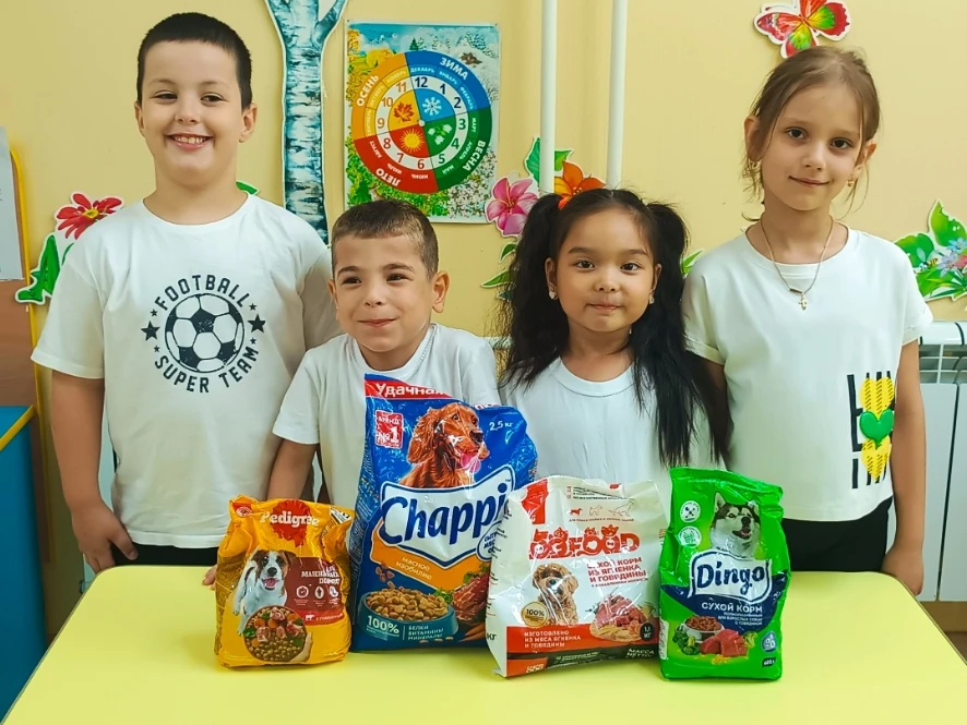 Ребята из группы Росинка собрали для бездомных животных корм