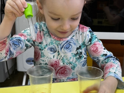 Удивительный мир открытий